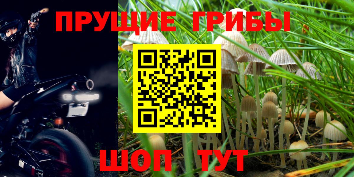 Галлюциногенные грибы мицелий  Псилоцибиновые грибы Psilocybine cubensis  Вход с VPN  Елизово 